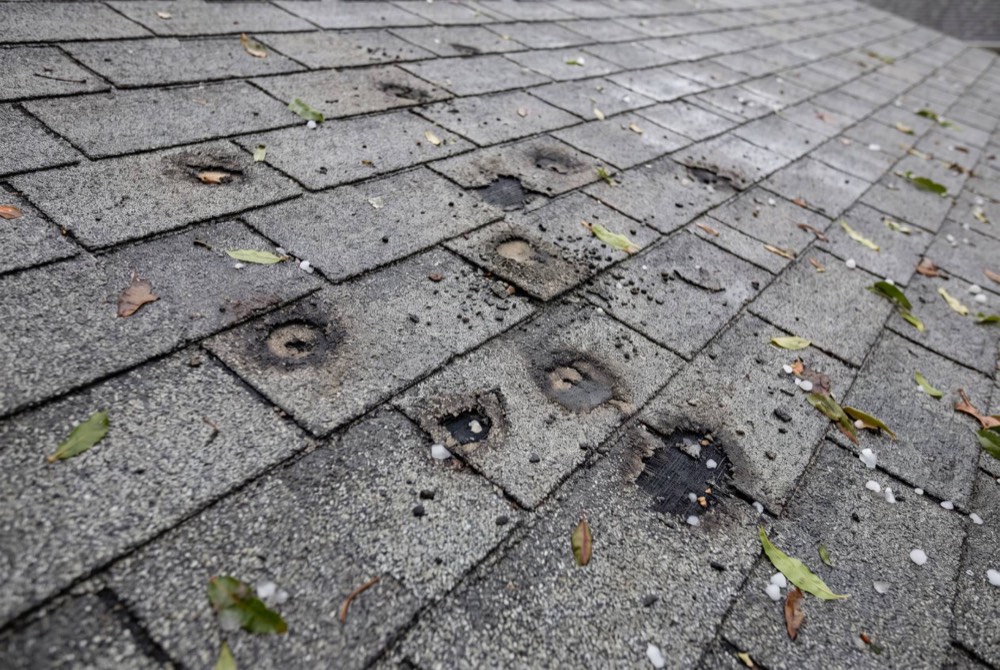 Hail-damaged asphalt shingles, close up