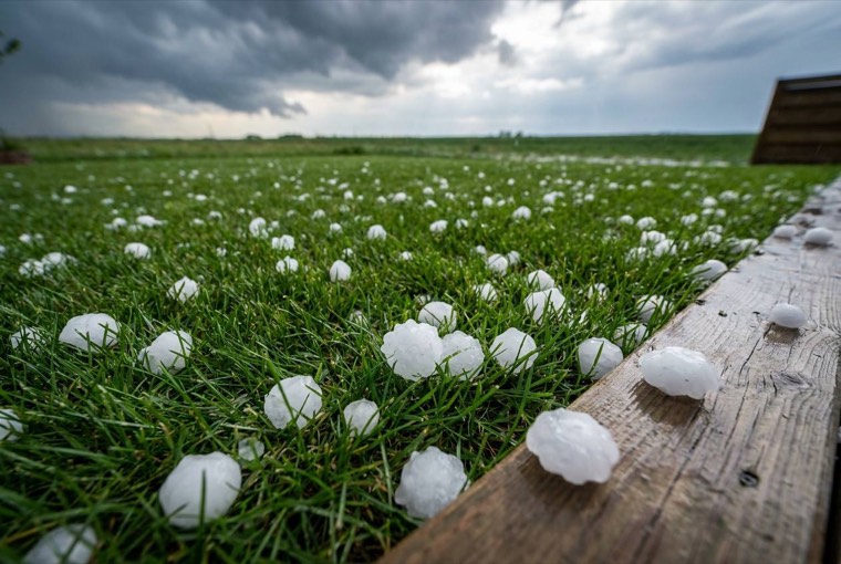 Hailstones on a lawn
